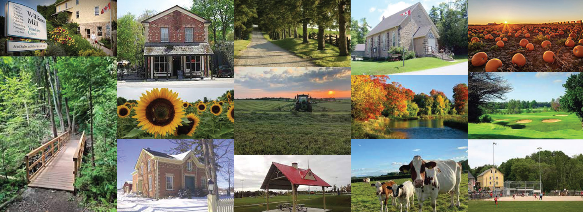 A collage of different places in Halton Hills