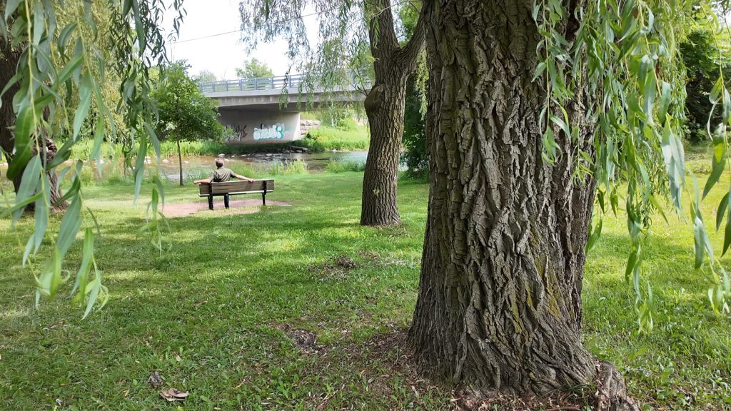 Jason Brass sitting on a bench facing the Credit River